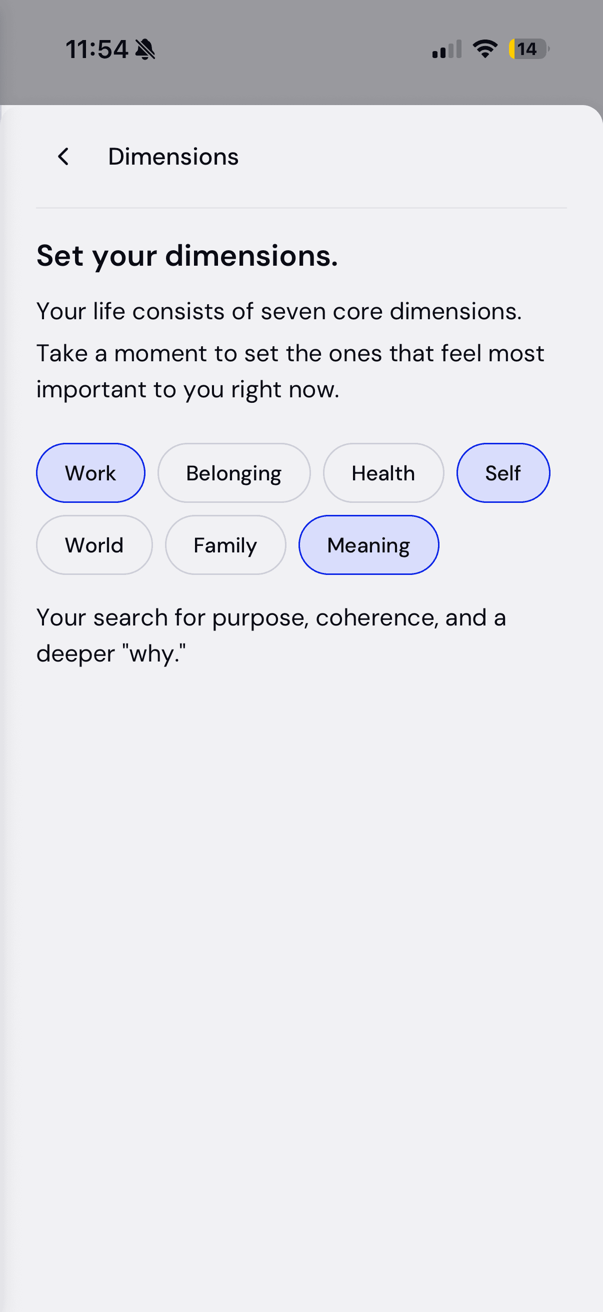 Mobile dimensions selection with seven pill options, several selected.